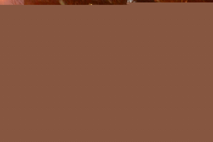 交警處理突發情況